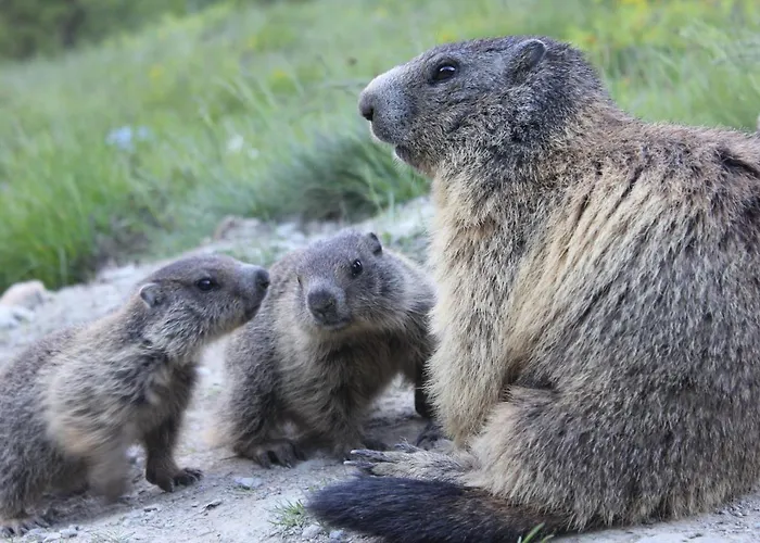 Kwatera prywatna Sunshine