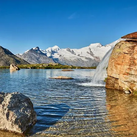 Sunshine * ザース・グルント