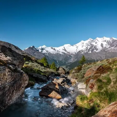 ホームステイ Sunshine