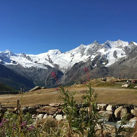 ホームステイ Sunshine