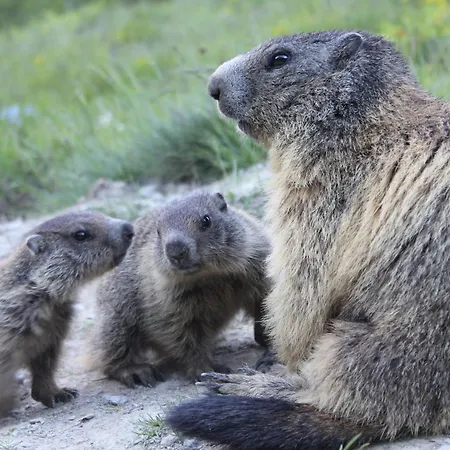 ホームステイ Sunshine