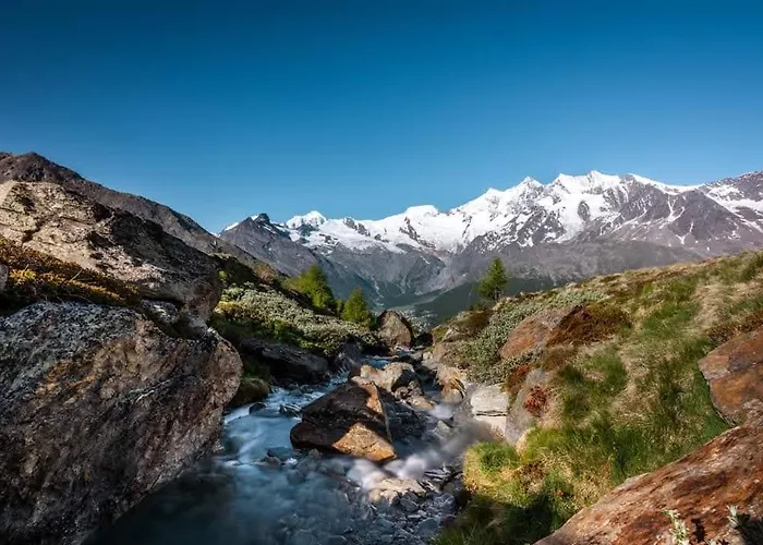 Проживание в семье Sunshine