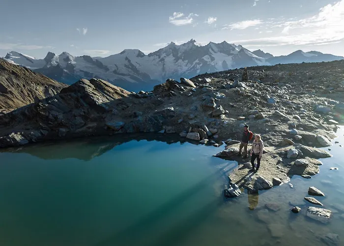 Sunshine Проживание в семье