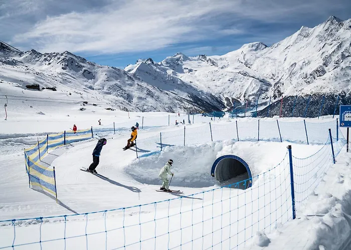 Sunshine Проживание в семье