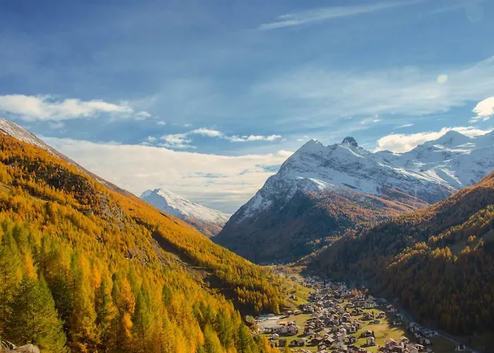 Проживание в семье Sunshine